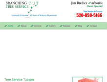 Tablet Screenshot of branchingouttree.com